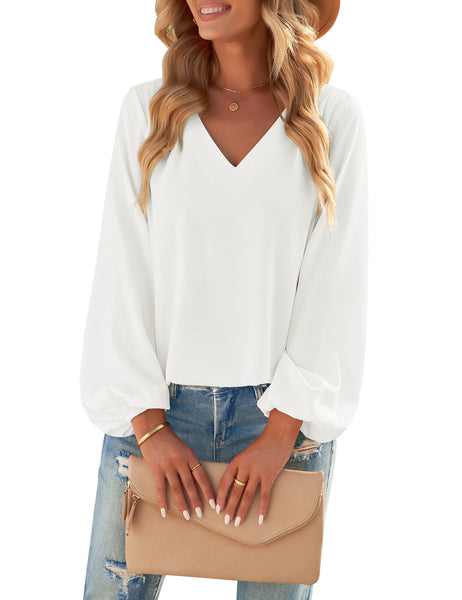 GRAPENT Womens Business Causal Tops for Women Ladies Work Blouses Dressy Long Sleeve Pleated V Neck