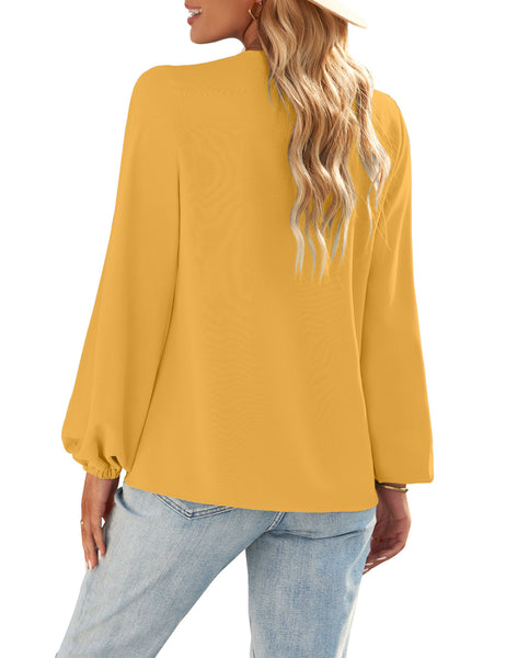 GRAPENT Womens Business Causal Tops for Women Ladies Work Blouses Dressy Long Sleeve Pleated V Neck